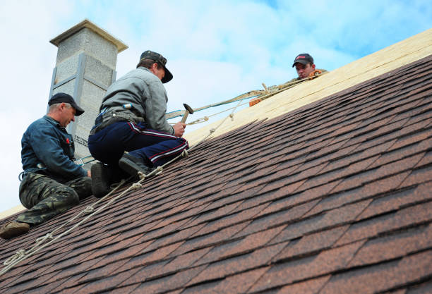 Best Roof Gutter Cleaning  in Inwood, FL